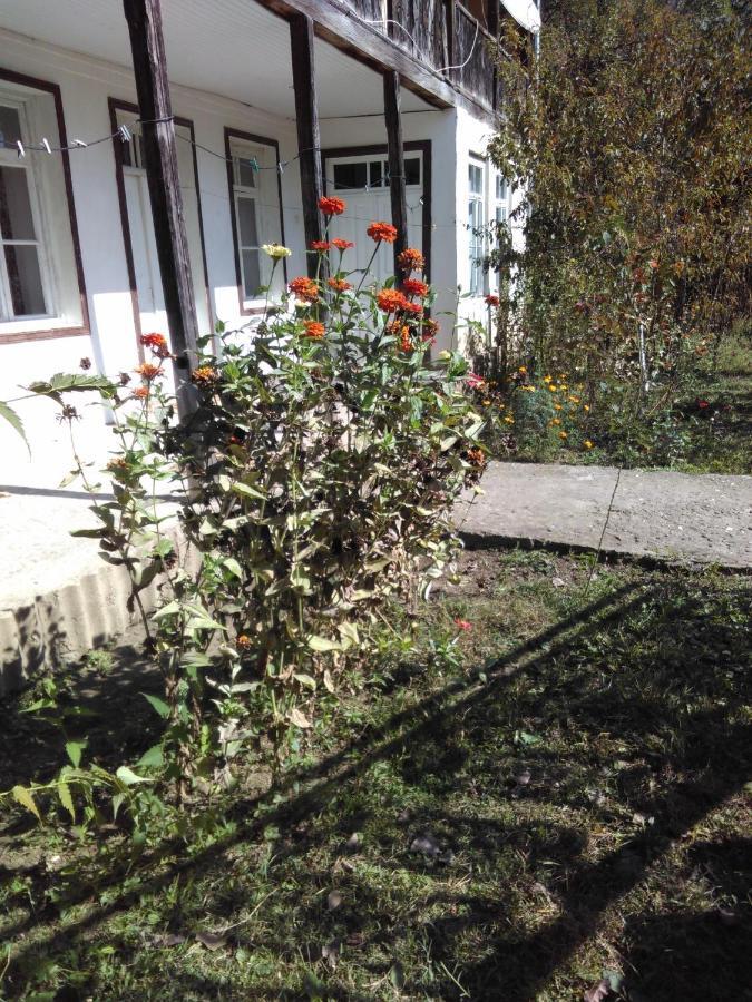 9 Plus - Orbeli Zewnętrze zdjęcie